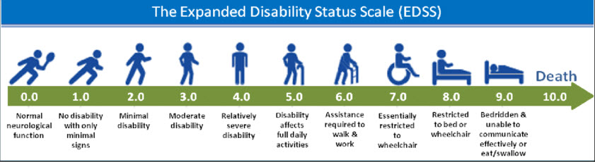 The-Extended-Disability-Status-Scale-EDSS-Kurtzke-1983-Image-source